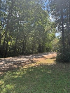 114 Marlin Drive Property Photo 3