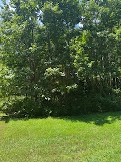 114 Marlin Drive Property Photo 4