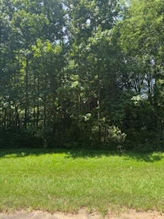 114 Marlin Drive Property Photo 5