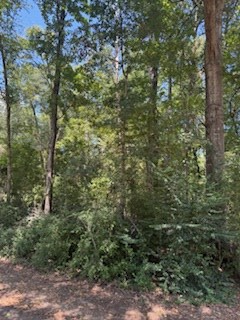 114 Marlin Drive Property Photo 7