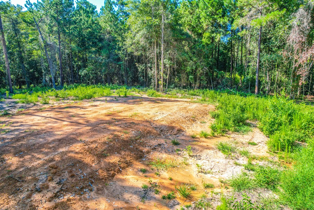 445 County Road 061 Property Photo 2