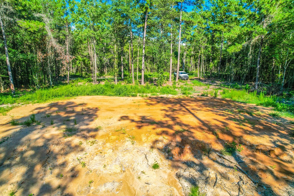445 County Road 061 Property Photo 3