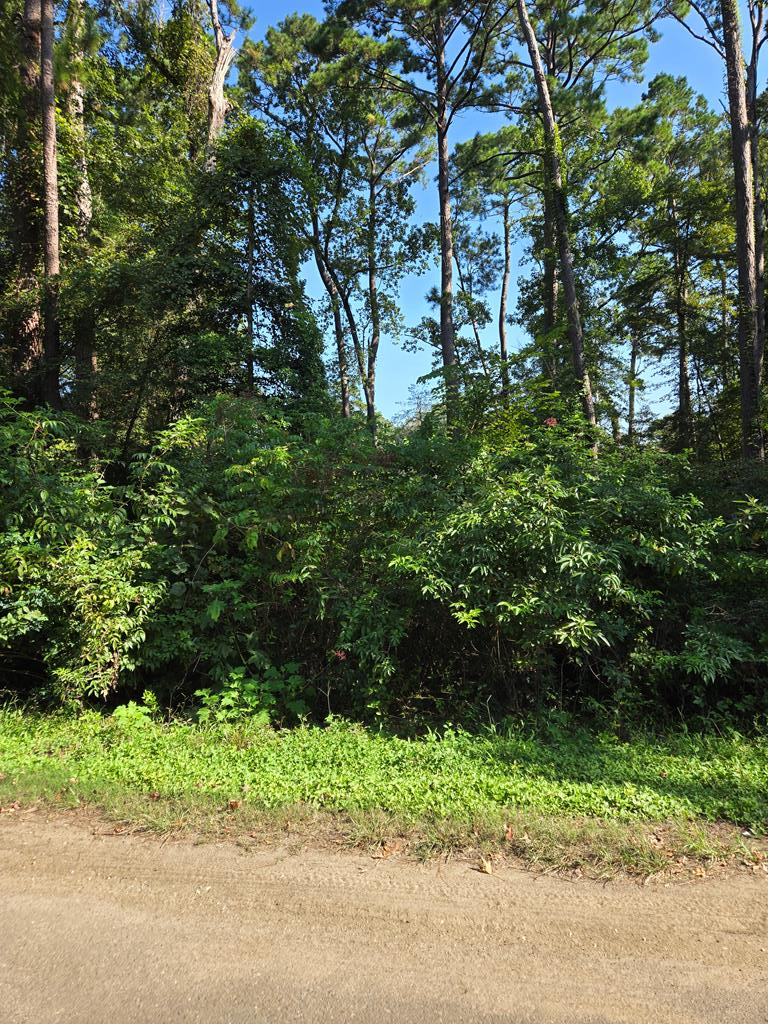 237 White Oak Property Photo 1