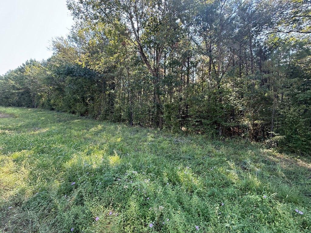 6474 St Hwy 103 E Property Photo 2