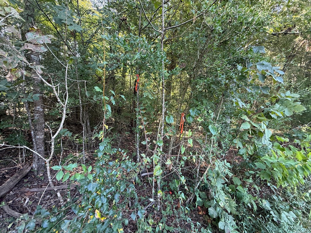 6474 St Hwy 103 E Property Photo 4