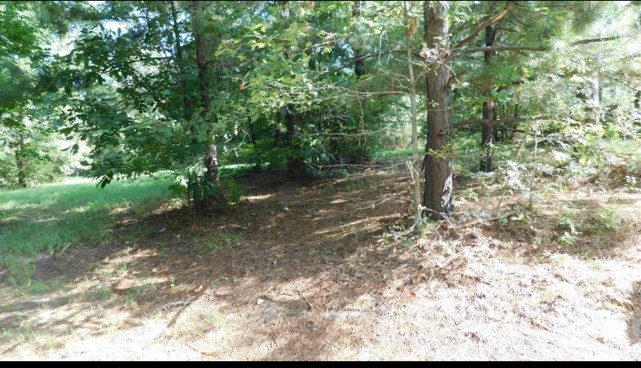 509 Eagle Estates Property Photo 2