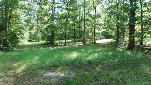 509 Eagle Estates Property Photo 3