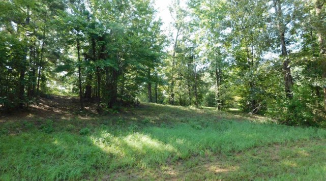 509 Eagle Estates Property Photo 4