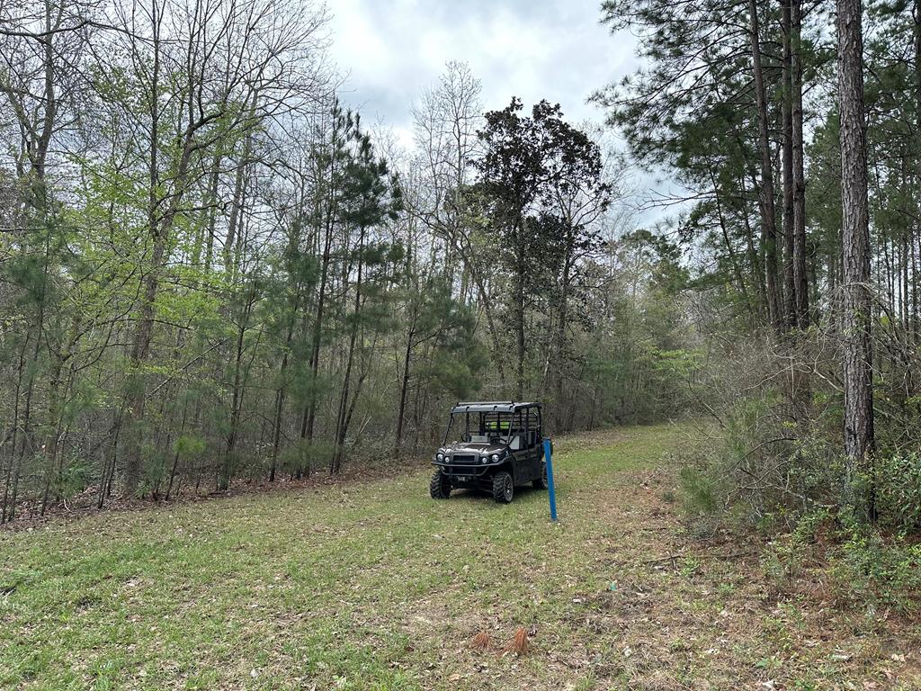 TBD Fm 1005 Property Photo 1