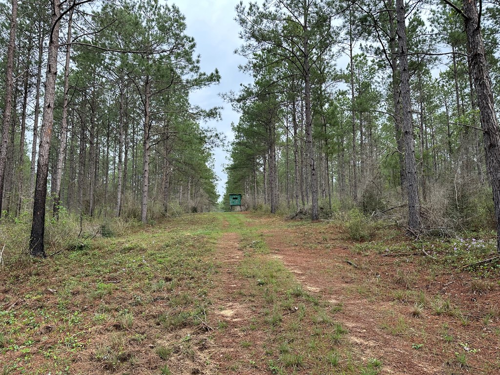 Tbd Fm 1005 Property Photo 3