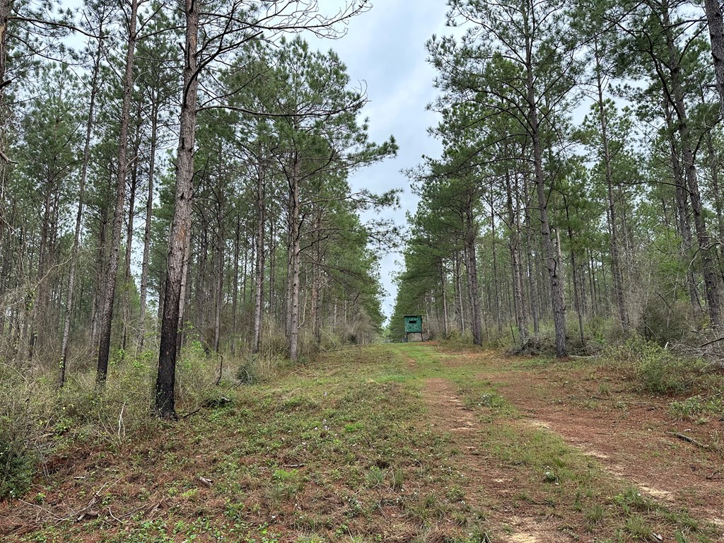 Tbd Fm 1005 Property Photo 4