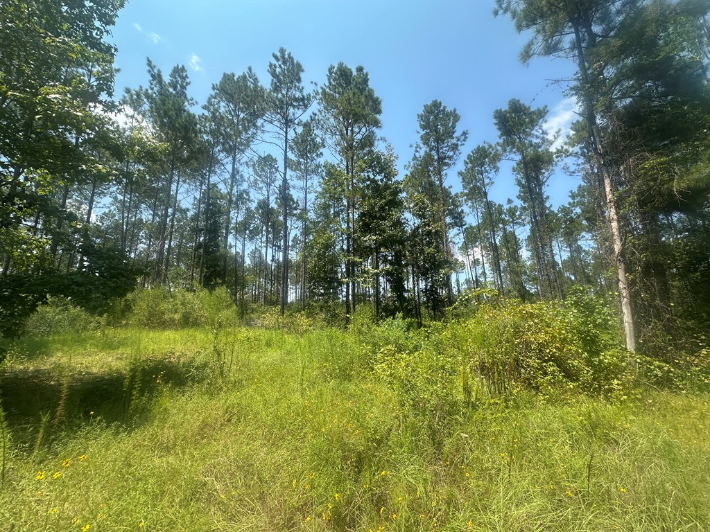 Tbd Fm 1005 Property Photo 6