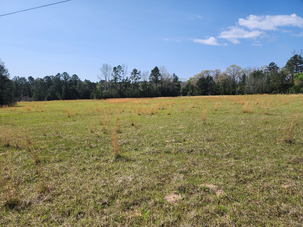 431 Cr 3630 Property Photo 44