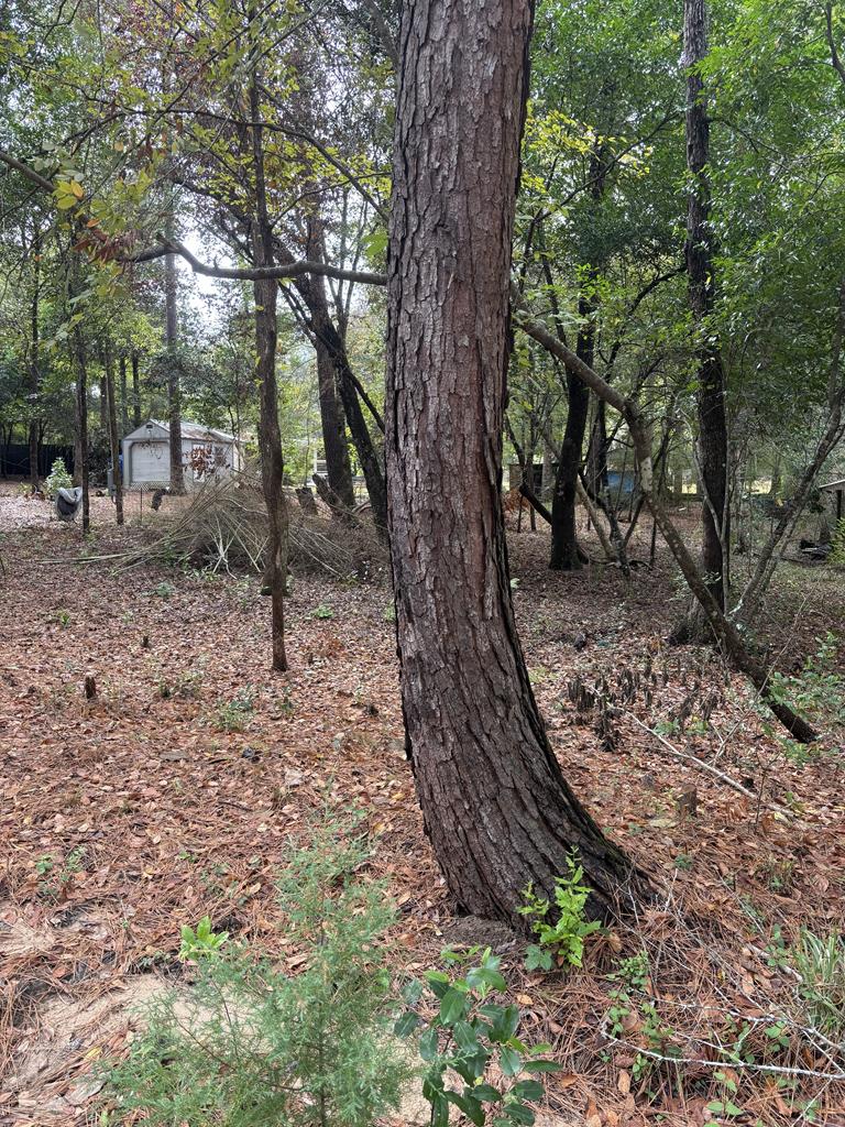 223 28th Street Property Photo 1