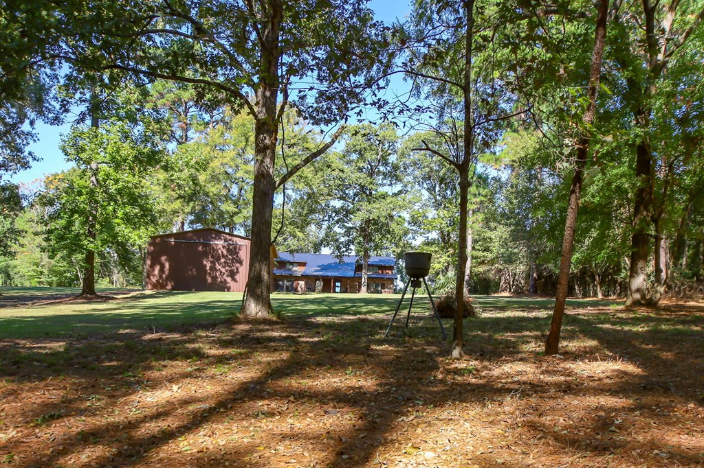 169 Cheyenne Property Photo 51