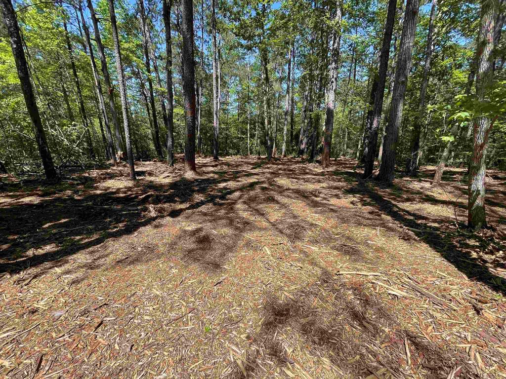 237 Senita Drive Property Photo 1