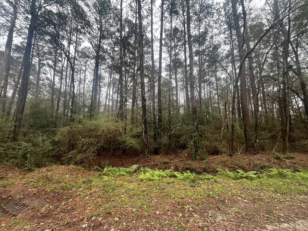 PID #36355 County Road 828
