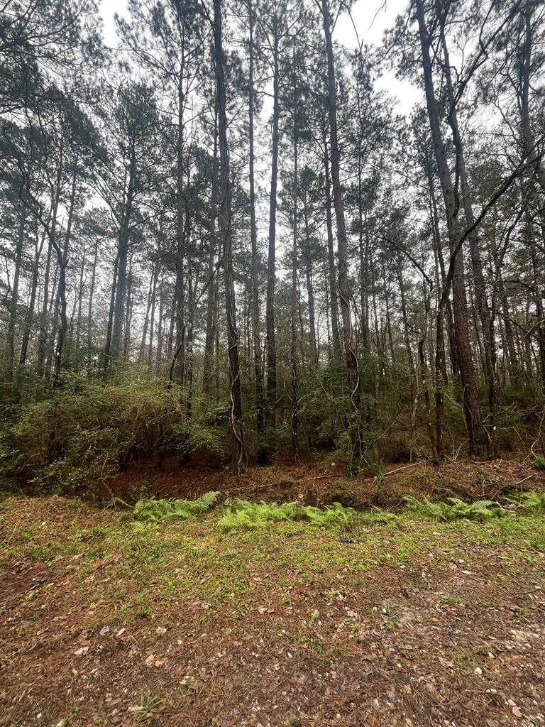 Pid #36355 County Road 828 Property Photo 5
