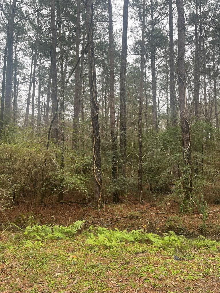 Pid #36355 County Road 828 Property Photo 6