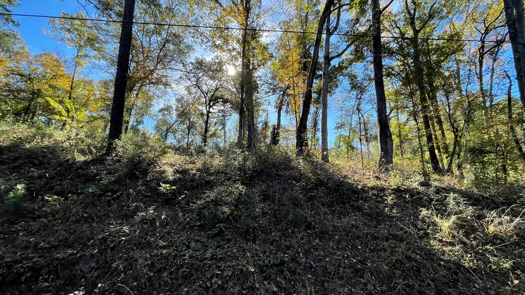 82 River Oaks Drive Property Photo 1