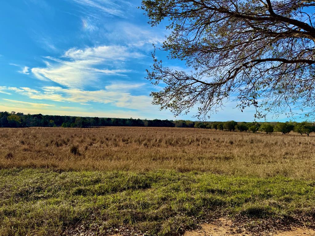 Lot 103 Lake Property Photo 1