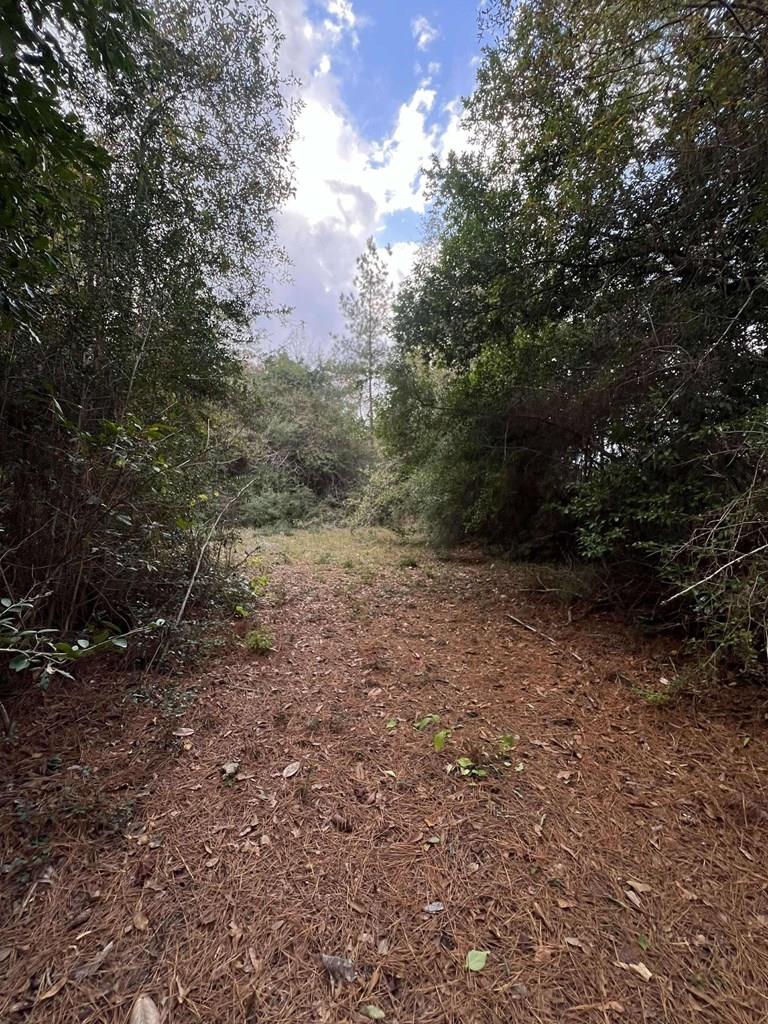 15121 Highway 87 N Property Photo 1