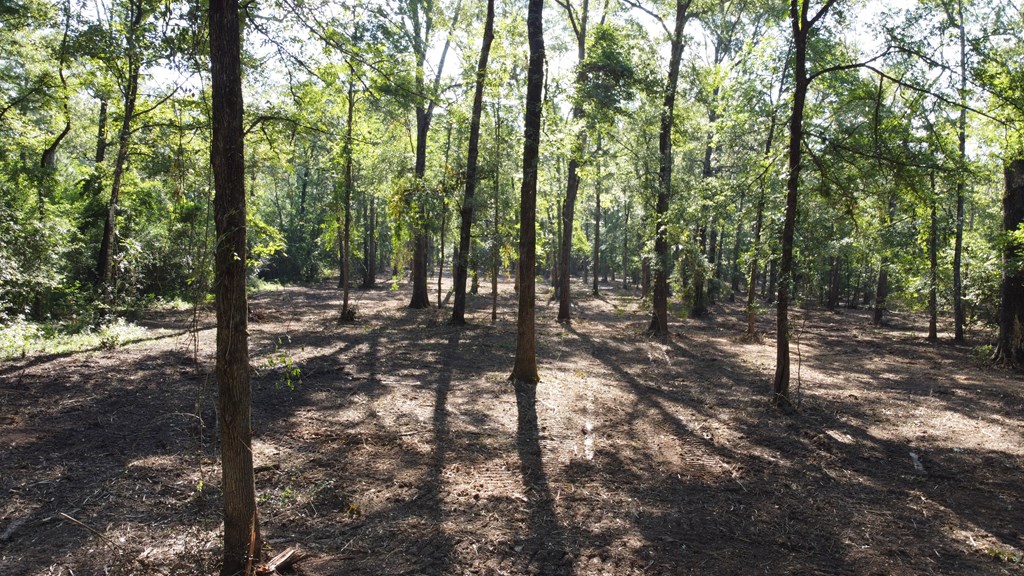 359 (2) Mallard Property Photo 5