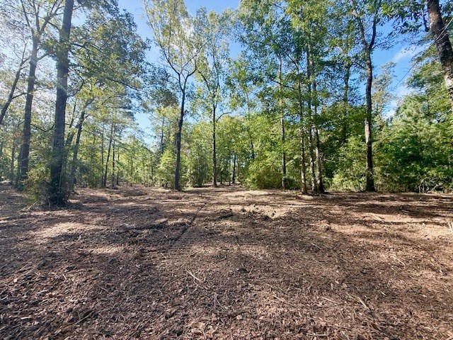 359 (2) Mallard Property Photo 8