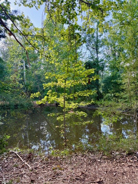 359 (2) Mallard Property Photo 10