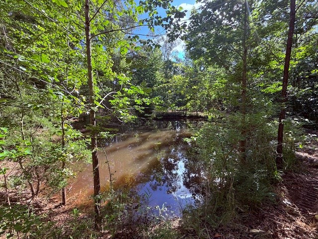 359 (2) Mallard Property Photo 11