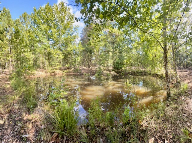 359 (2) Mallard Property Photo 12
