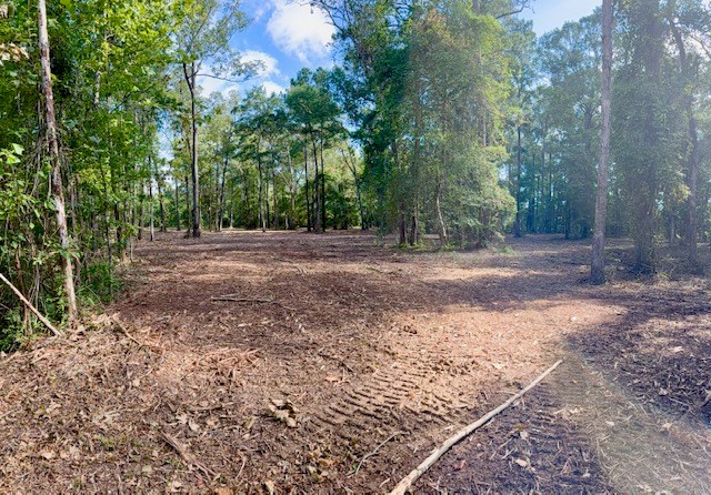 359 (2) Mallard Property Photo 14