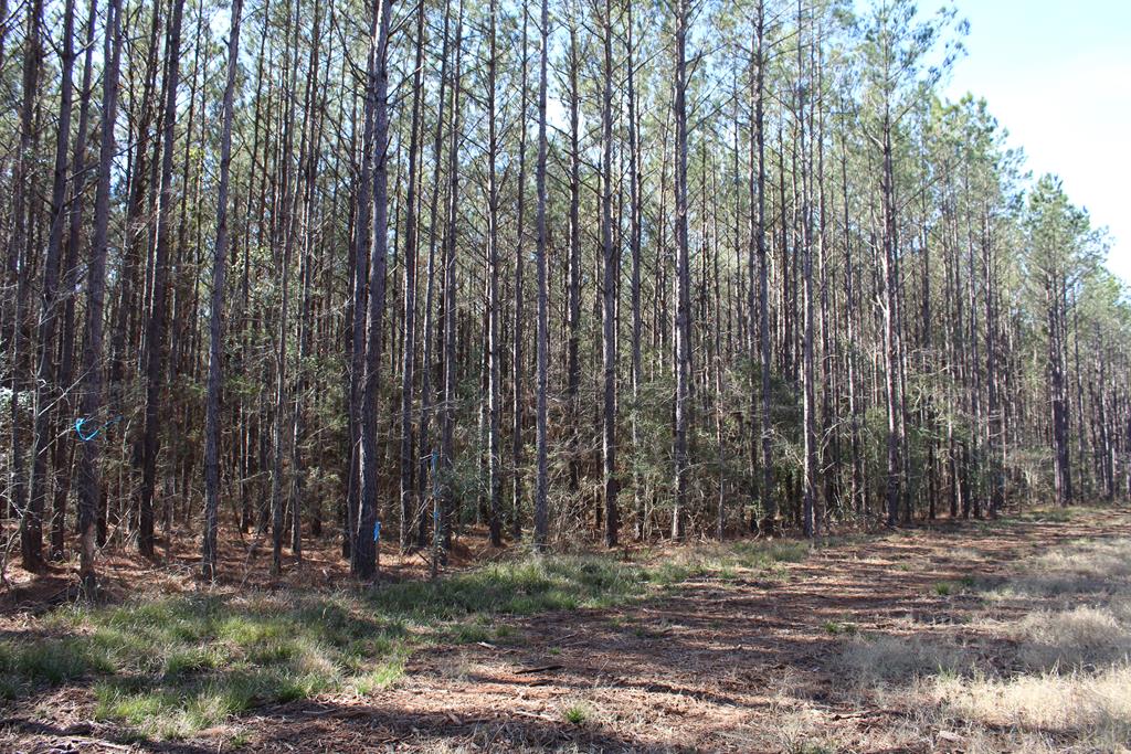 R18754 Fm 1751 Property Photo 1
