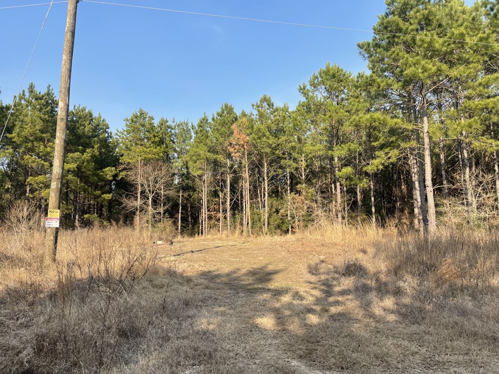 Tract 21 Kickapoo Road Property Photo 2