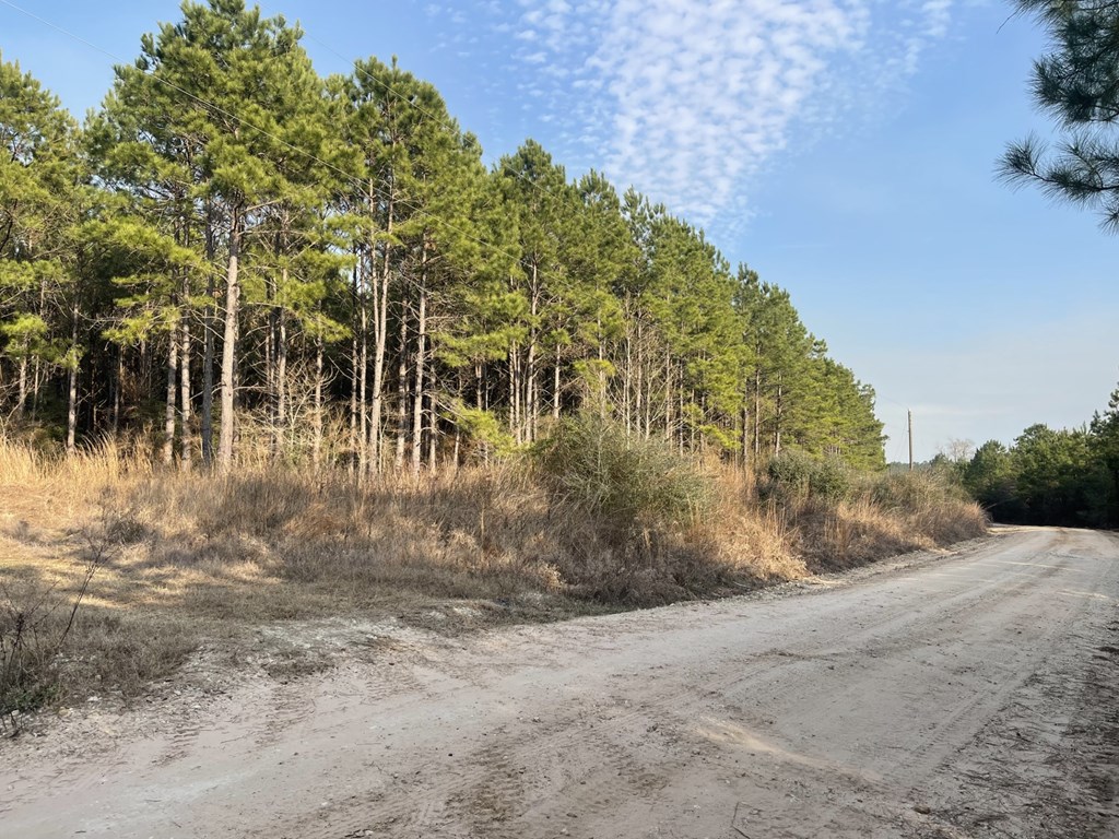 Tract 21 Kickapoo Road Property Photo 7