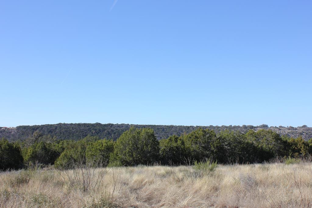 Pid 8285 Fm 2169 Property Photo 1