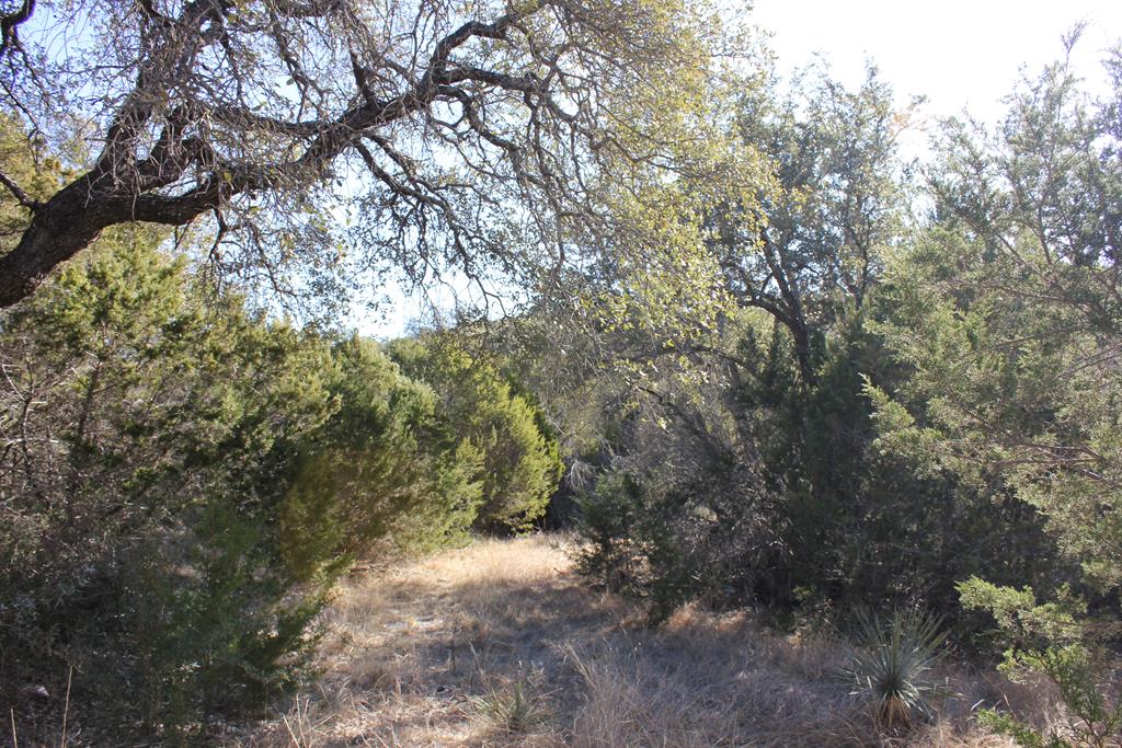 Pid 8285 Fm 2169 Property Photo 6
