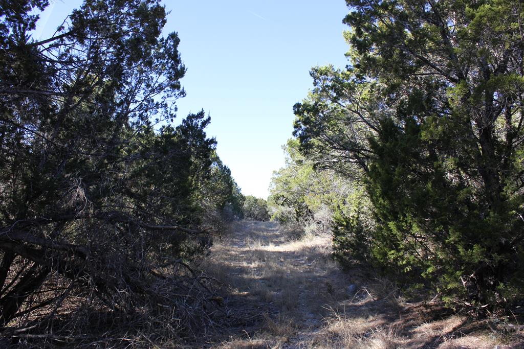 Pid 8285 Fm 2169 Property Photo 7