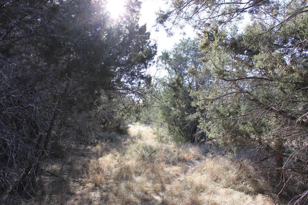Pid 8285 Fm 2169 Property Photo 9