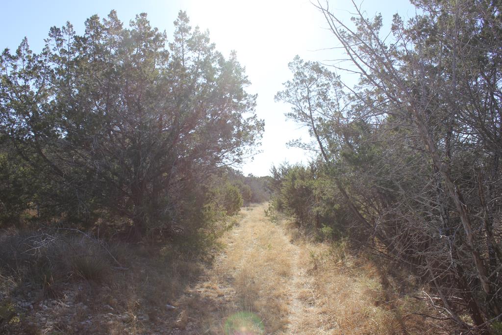 Pid 8285 Fm 2169 Property Photo 10