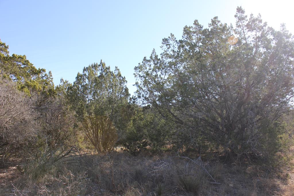 Pid 8285 Fm 2169 Property Photo 11