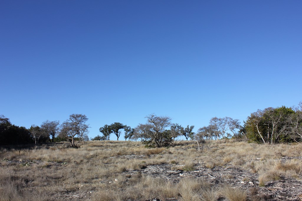 Pid 23205 Junction Hills Property Photo 2