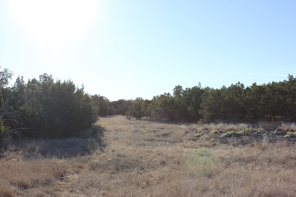 Pid 23205 Junction Hills Property Photo 3
