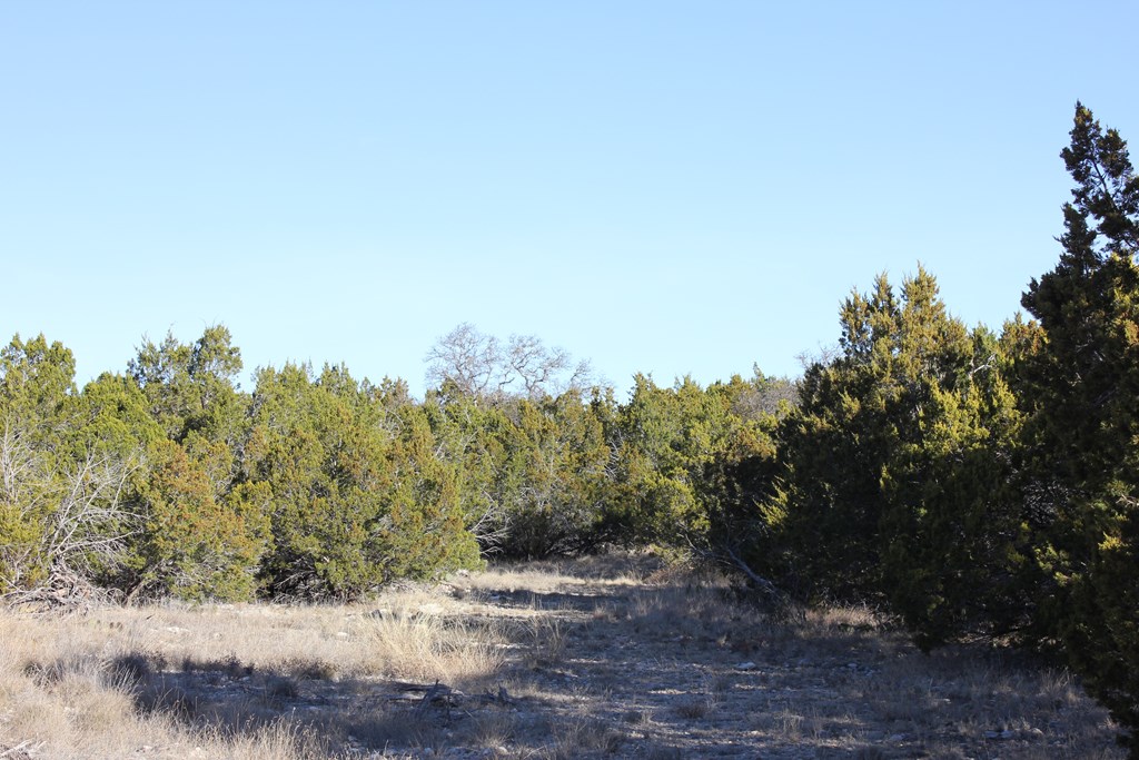 Pid 23205 Junction Hills Property Photo 4