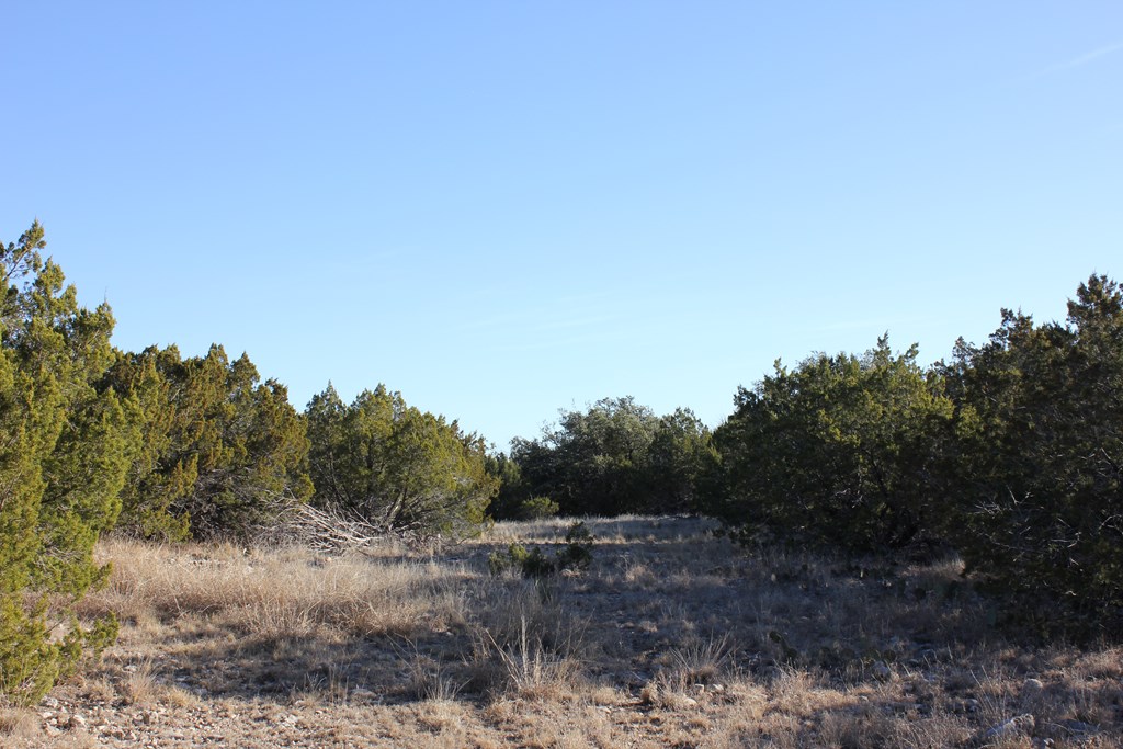 Pid 23205 Junction Hills Property Photo 5