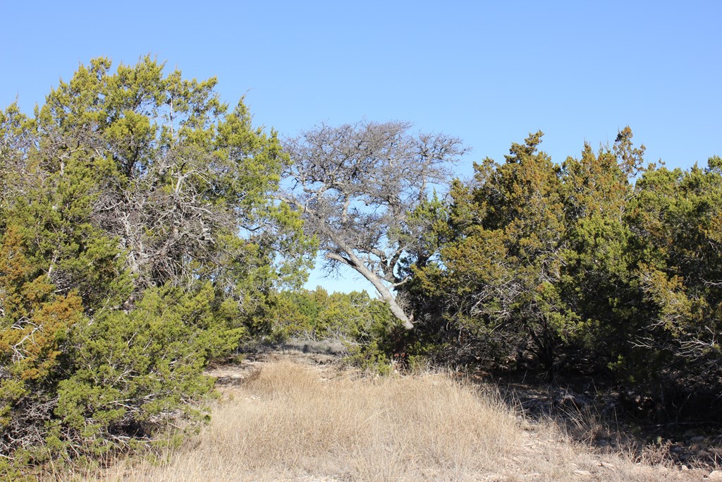 Pid 23205 Junction Hills Property Photo 6