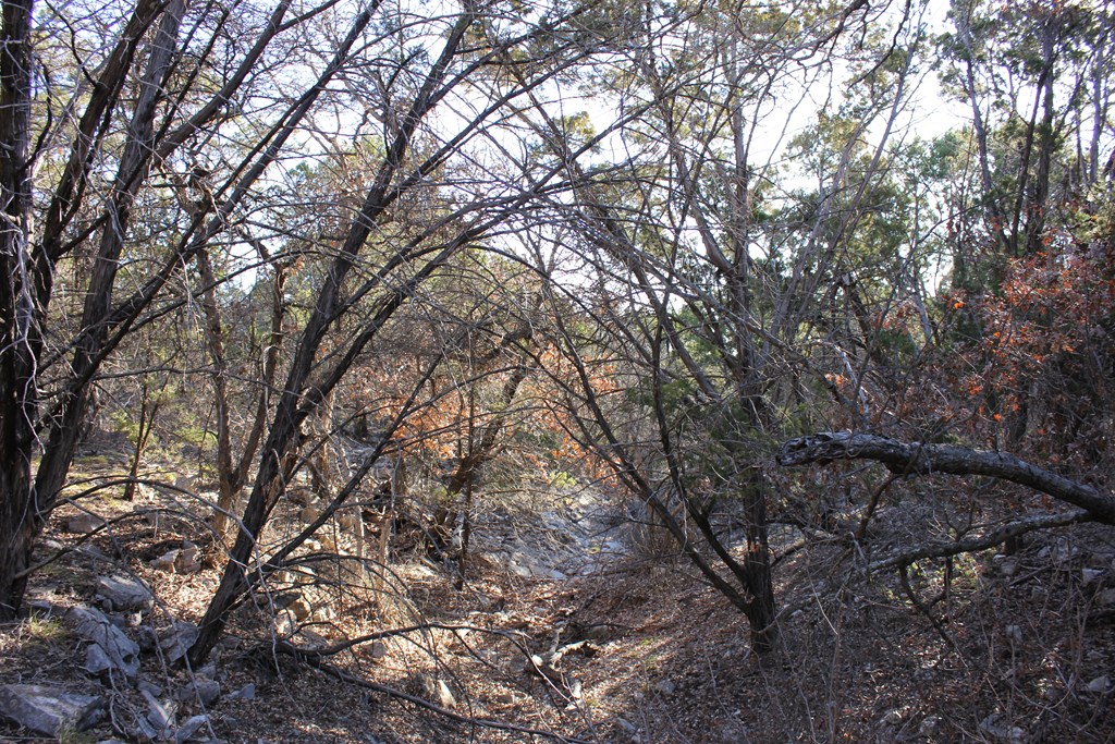 Pid 23205 Junction Hills Property Photo 8