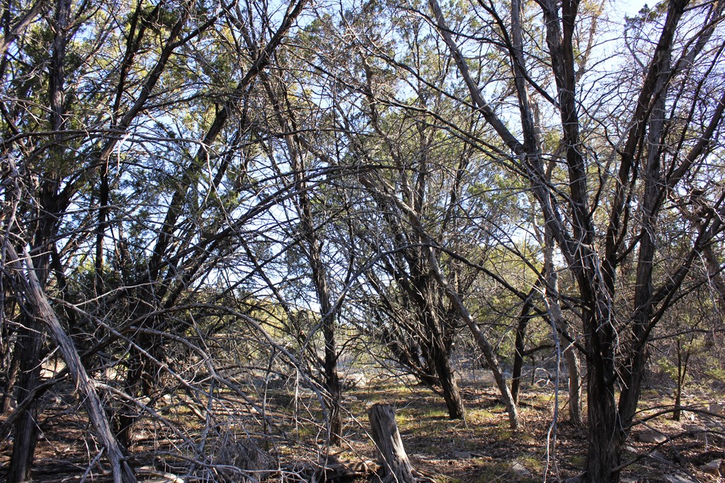 Pid 23205 Junction Hills Property Photo 9