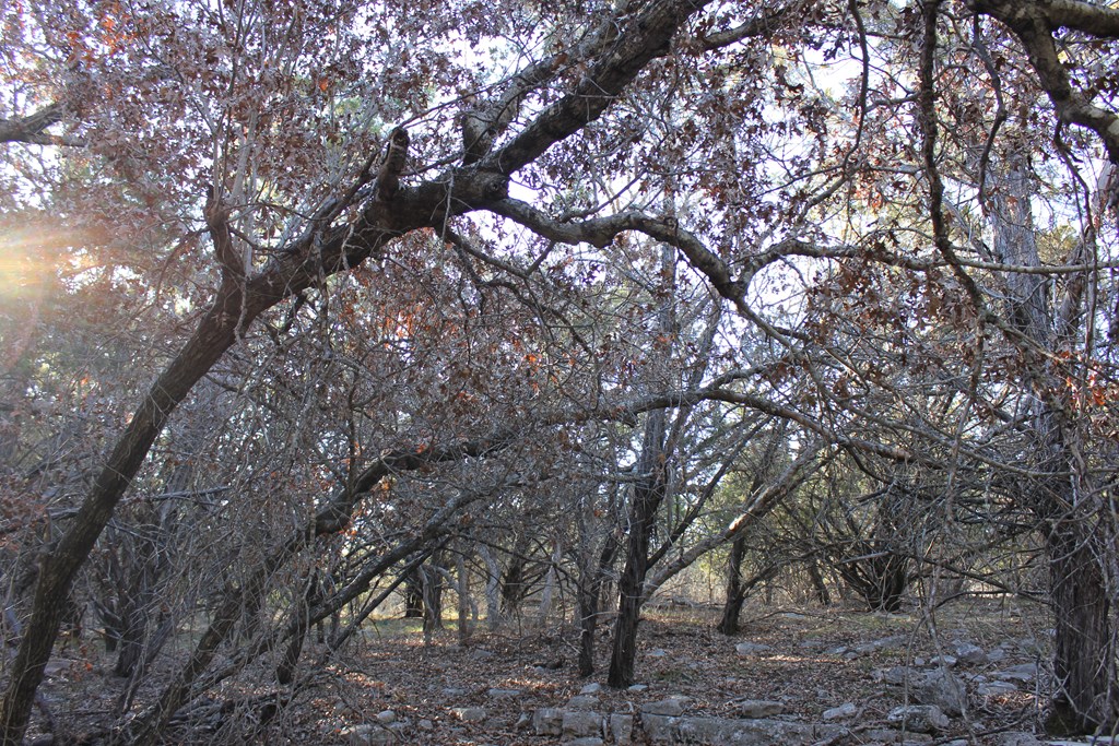 Pid 23205 Junction Hills Property Photo 10