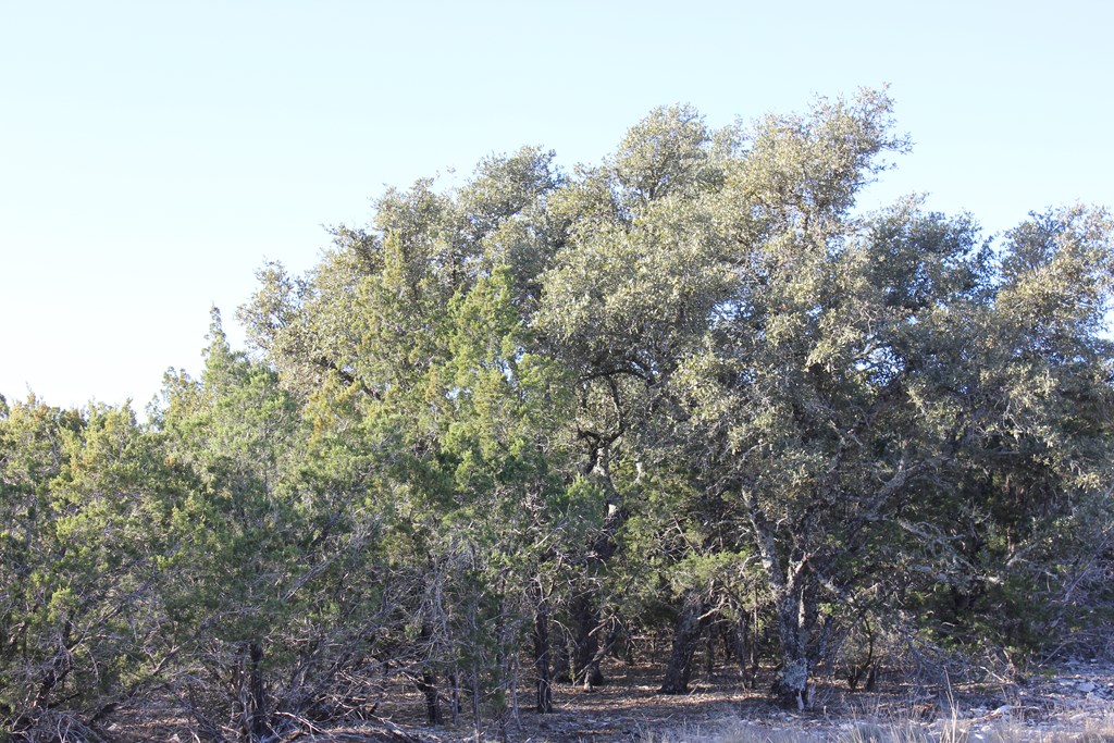 Pid 23205 Junction Hills Property Photo 12